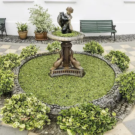 Malpais Trece Garachico (Tenerife)