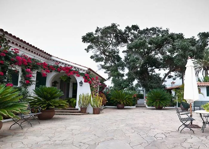 Landsted Malpais Trece *